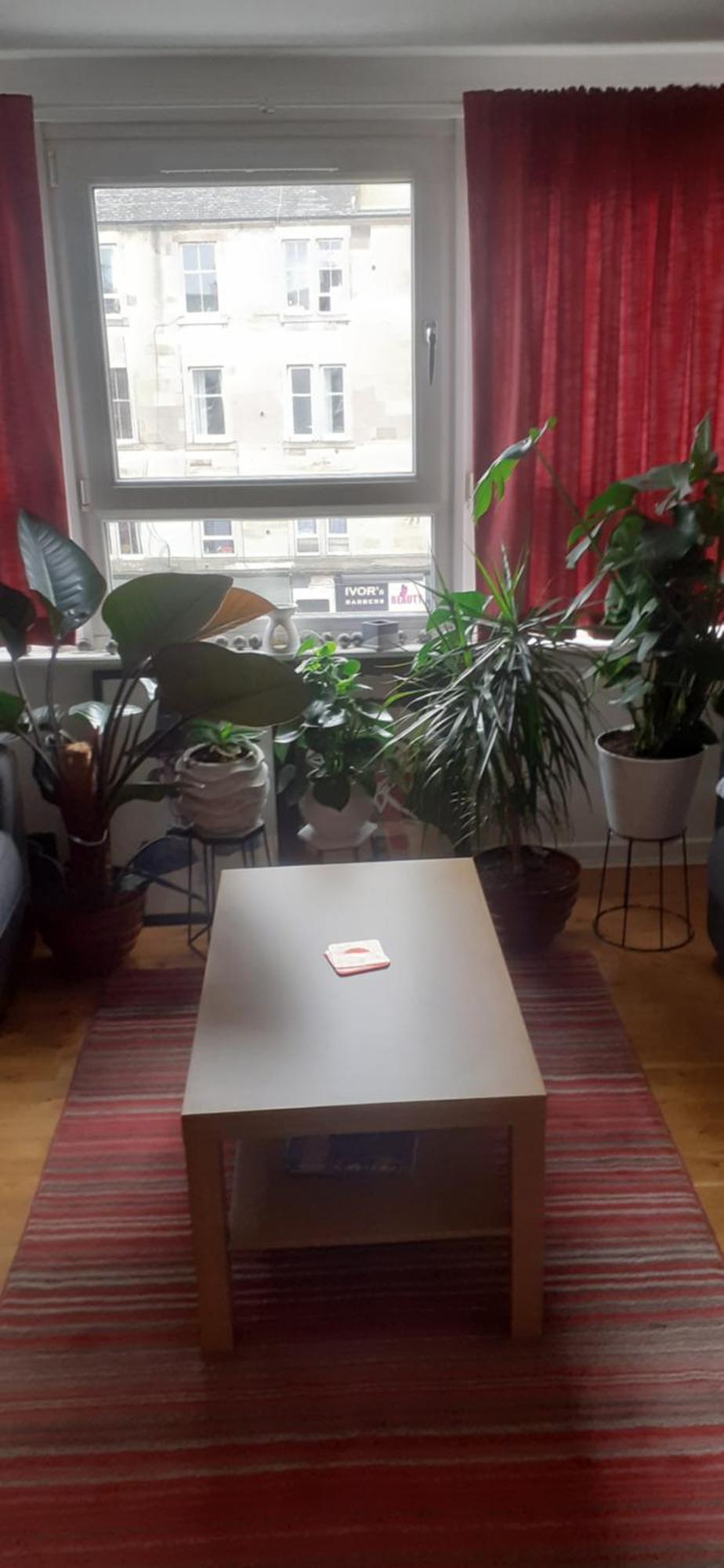 Beautiful King Room In Leith Walk — Photos 2